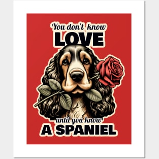 Spaniel Valentine's day Posters and Art